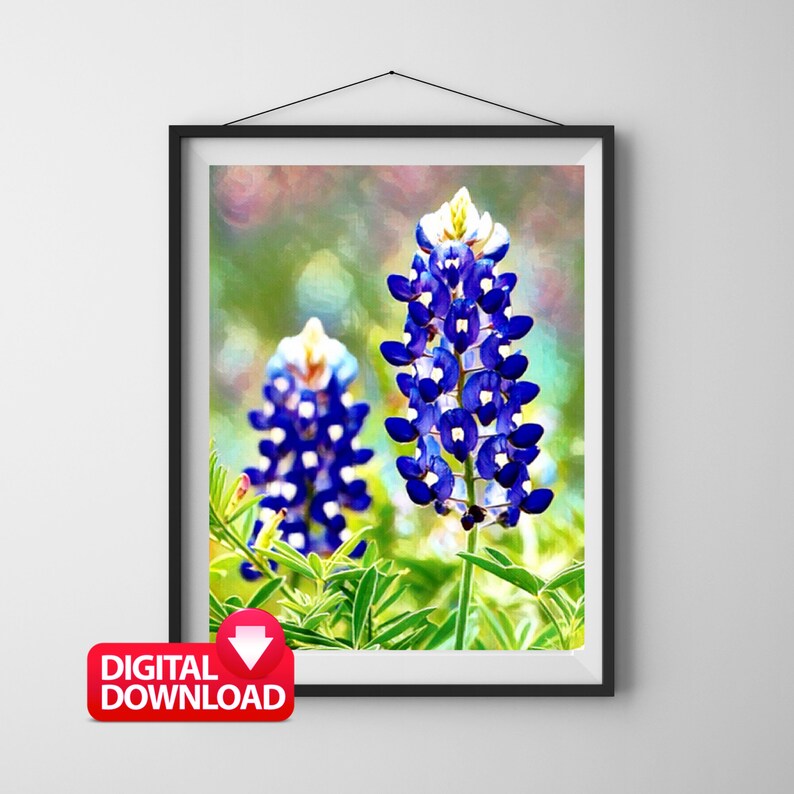 Painting Printable Beautiful Texas Wildflowers Etsy