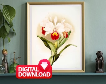 Vintage Orchid Painting by Frederick Sander: Floral Wall Art (Digital Download)