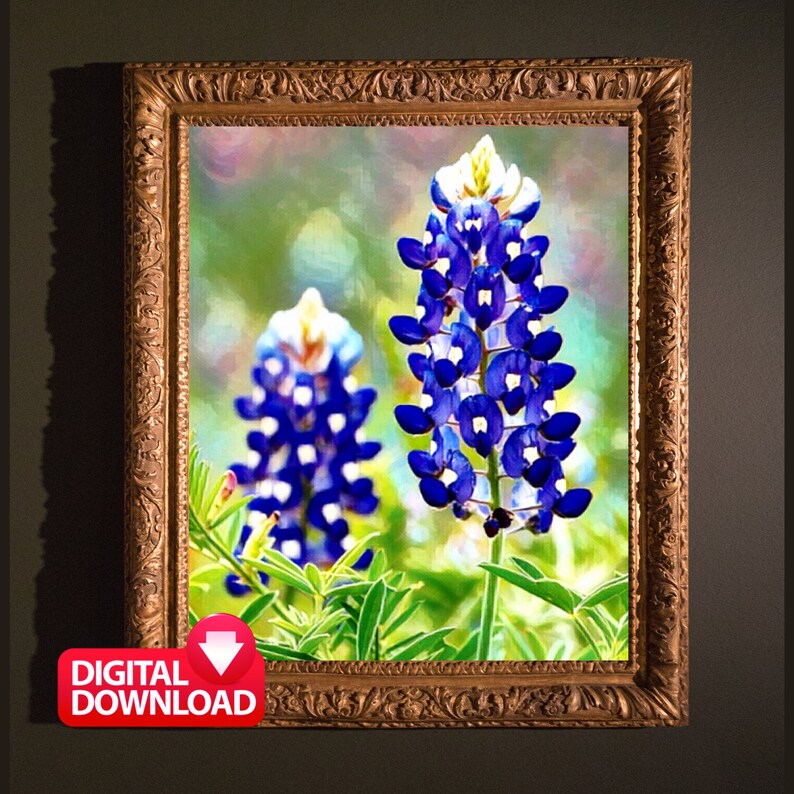 Bluebonnet Painting Printable, Beautiful Texas Wildflowers Bluebonnets ...