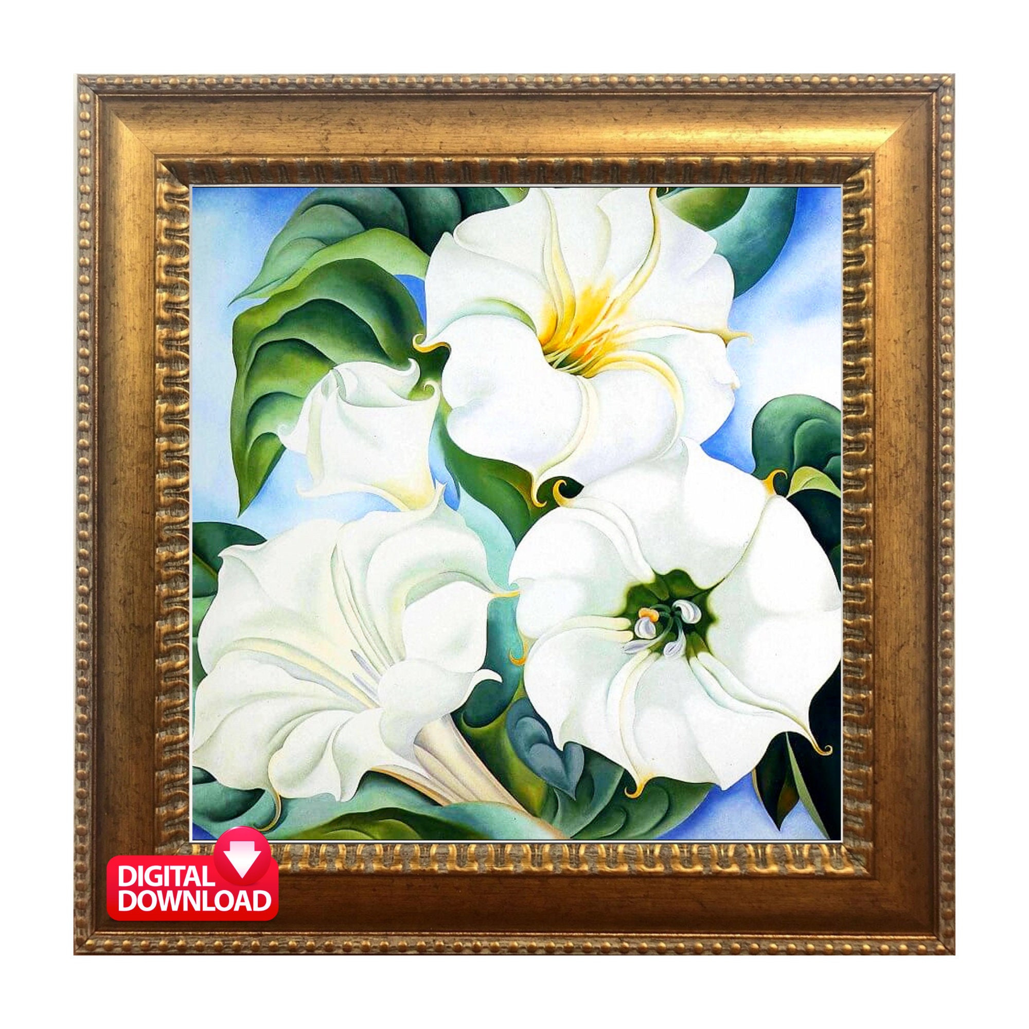 ジョージア オキーフ画集　花 Georgia O'Keeffe: One Hundred Flowers ジョージア・オキーフの