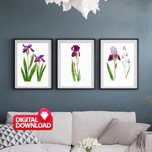 Set of 3 Vintage Purple IRIS Flower Painting Prints Printable, Livingroom Wall Art, 3 Piece Iris Wall Art, Iris Flower Gift, Iris Decor