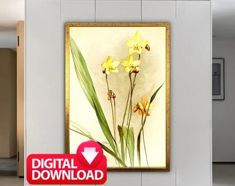 YELLOW ORCHID Painting Printable, Reichenbachia Orchids (1888-1894), Orchid Lover Gift, Yellow Flower Art