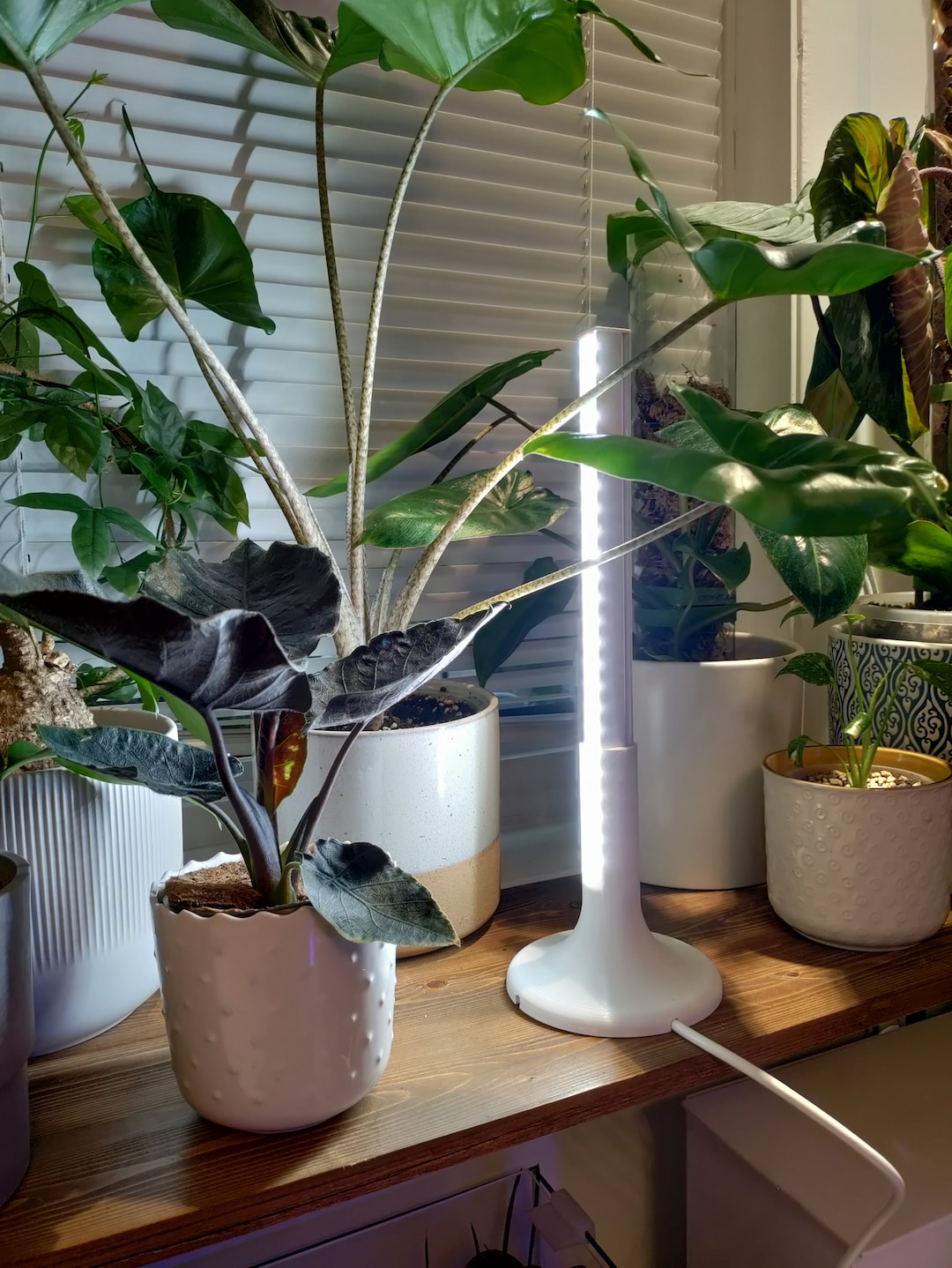 Barrina Light Stand Use Your Grow Light Vertically Etsy Australia