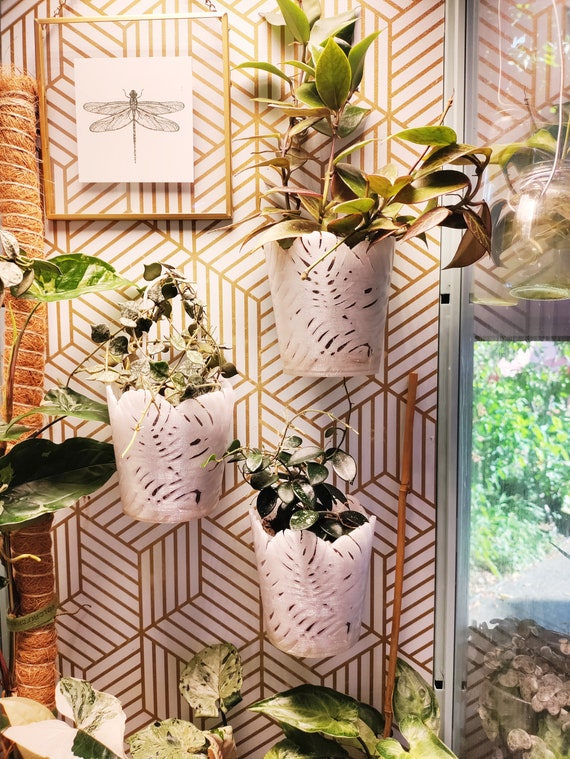 Monstera Magnetic Plant Holder -for Ikea Greenhouse or Other Metal Backing  - Etsy Israel