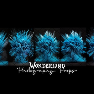 POWDER EFFECT - Collection VI - Digital Effect For Photography - Jpeg Files