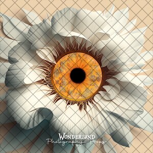 Peut inclure: Une fleur blanche avec un grand œil orange au centre. La fleur est entourée d'un motif de grille. Le texte "Wonderland Photography Props" est en bas de l'image.