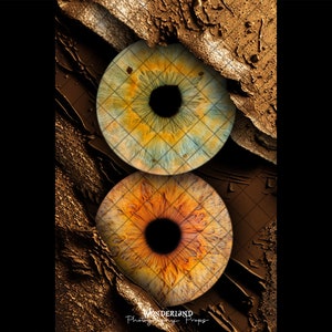 DUO CASE for Iris - Model XXIV - For Iris Photography - Psd Files
