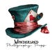 Wonderland Photography Props