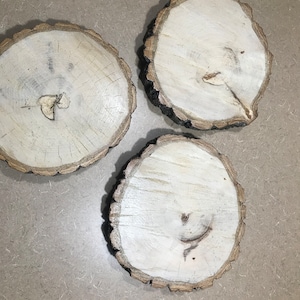 Wood Rounds for Centerpieces 