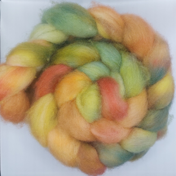 USA BFL/Blue Faced Leicester Roving; Autmn Leaves