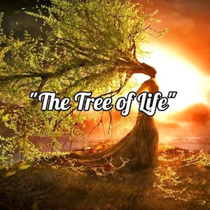 Puede incluir: Una imagen estilizada de un árbol con una figura de mujer formando el tronco. El árbol está rodeado de un brillo dorado y el texto "The Tree of Life" se muestra en el centro de la imagen.