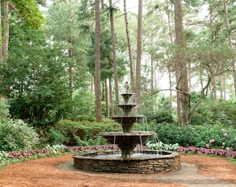 Arte - Fuente de jardín caprichosa