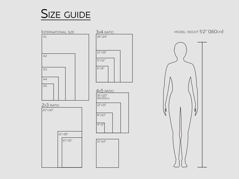 May include: A size guide for art prints, showing different sizes and ratios, including 2x3, 3x4, and 4x5. The guide also includes international paper sizes like A1, A2, A3, A4, and A5. A model is shown standing next to a ruler to illustrate the size of the prints.