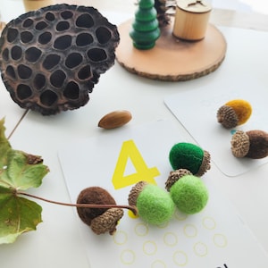 Set of 10 handmade felted acorns with natural caps. Nature-inspired sensory play tool for little learners. Fall autumn decoration. image 8