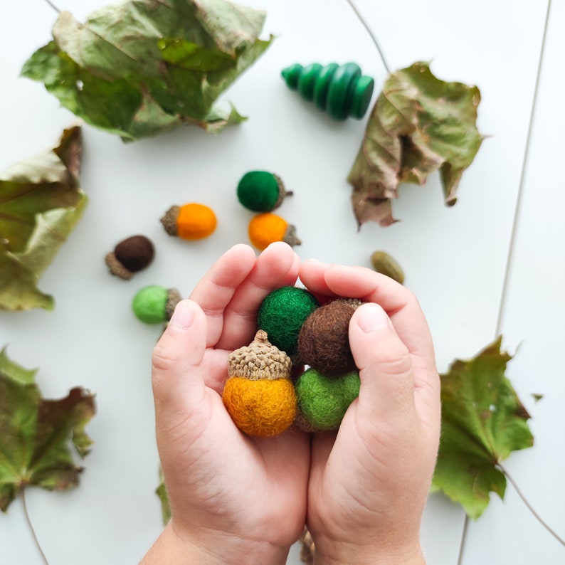 Set of 10 handmade felted acorns with natural caps. Nature-inspired sensory play tool for little learners. Fall autumn decoration. image 7