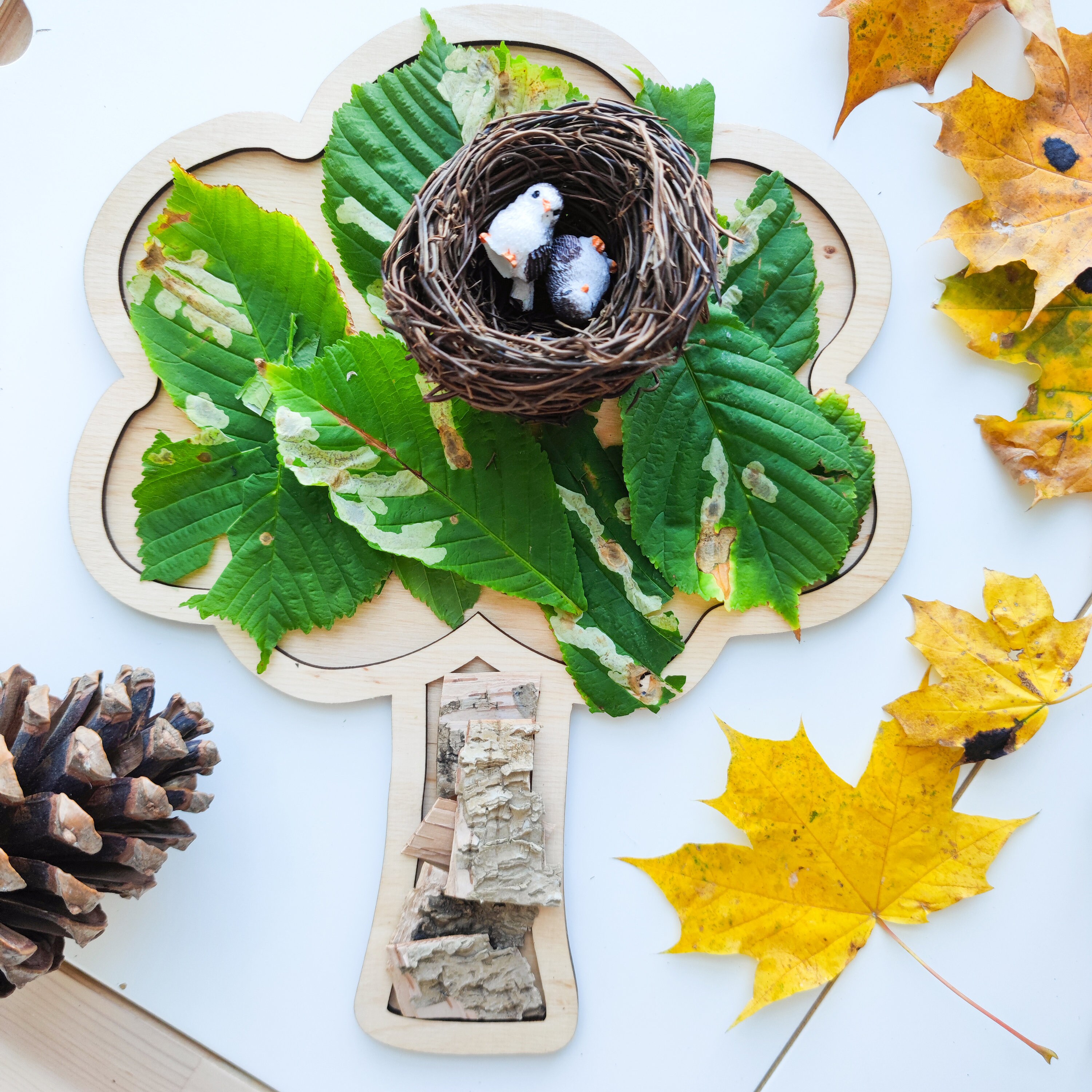 Tree-shaped Sensory Play Tray for Nature Studies. Wooden Board - Etsy UK