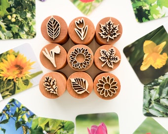 Botanical wooden playdough stamps. Nature-themed toy for homeschooling and spring activities. Toddler learning toy for biology lessons.