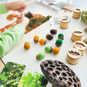 Set of 10 handmade felted acorns with natural caps. Nature-inspired sensory play tool for little learners. Fall autumn decoration. image 6