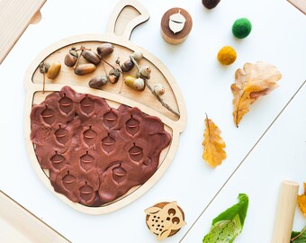 ACORN sensory play board. Montessori inspired wooden sorting tray for kids autumn activity.