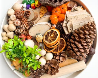 Kit de juego sensorial de otoño, juego de piezas sueltas Montessori