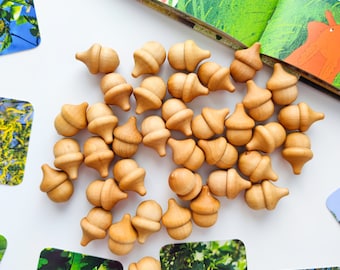 10 ghiande di legno per un gioco libero. Giocattolo Montessori per il conteggio e per la scuola domestica Waldorf. Giocattolo educativo per l'apprendimento dei bambini. Decorazione autunnale.