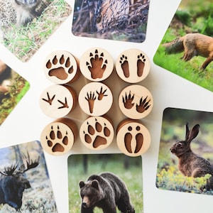 Tampons en pâte à modeler recto-verso avec des traces d'animaux de la forêt. Jouets éducatifs pour l'étude des animaux. Cadeau pour les amoureux de la nature.