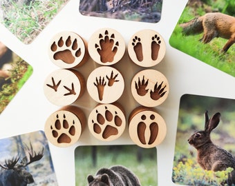 Double-sided forest animal tracks play dough stamps. Educational toys for animal study. Gift for nature lovers.