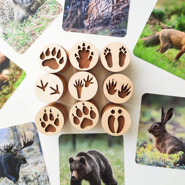 Double-sided forest animal tracks play dough stamps. Educational toys for animal study. Gift for nature lovers.