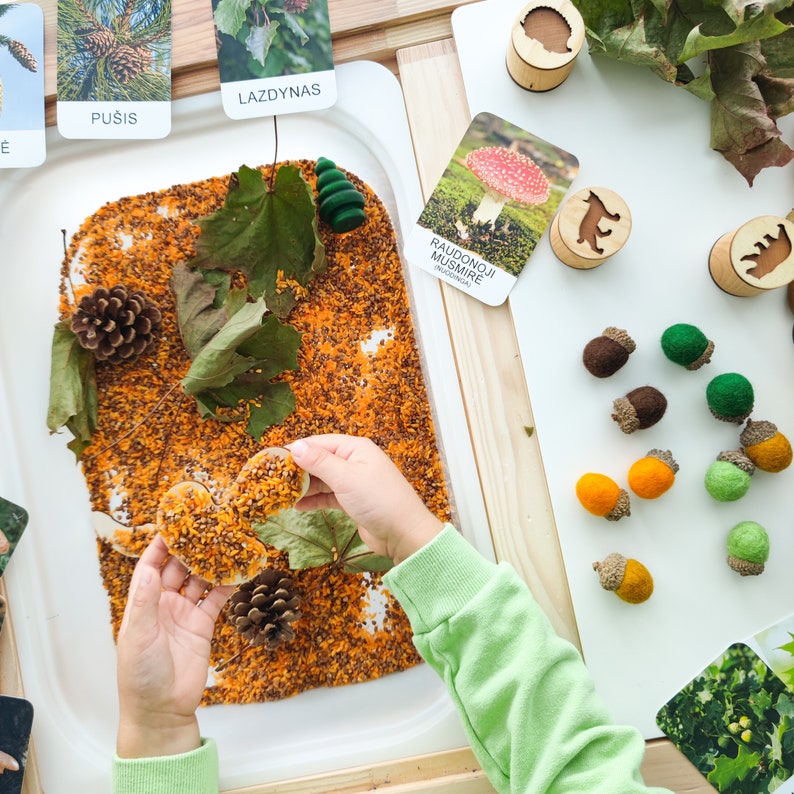 Set of 10 handmade felted acorns with natural caps. Nature-inspired sensory play tool for little learners. Fall autumn decoration. image 9