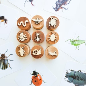 Bug-themed play dough stamps set. Educational toddler gift. Nature study activity and homeschool lesson. Minibeast insect stampers for kids.