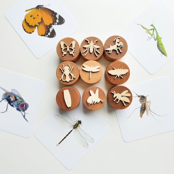 Insect Play Dough Stamps, Nature Study, Montessori Toys, Preschool