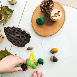 Set of 10 handmade felted acorns with natural caps. Nature-inspired sensory play tool for little learners. Fall autumn decoration. image 3