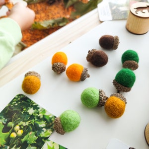 Set of 10 handmade felted acorns with natural caps. Nature-inspired sensory play tool for little learners. Fall autumn decoration. image 4