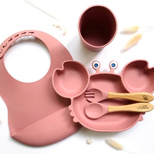 Personalized Silicone Meal Set / Baby Child Suction Plate Gift / Glass Bib / Personalized Birth Kit / Birth Box Set
