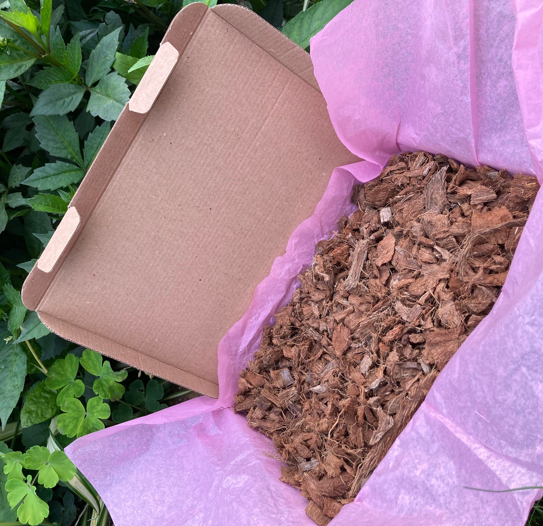 Coco Chips Substrate for Hamsters and Other Small Animals Etsy UK