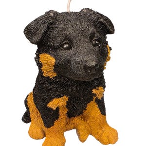 May include: A candle shaped like a puppy, featuring black and tan coloring. The puppy is sitting upright with its paws forward, and a white wick extends from the top of its head. The candle has a textured appearance, giving it a realistic look.