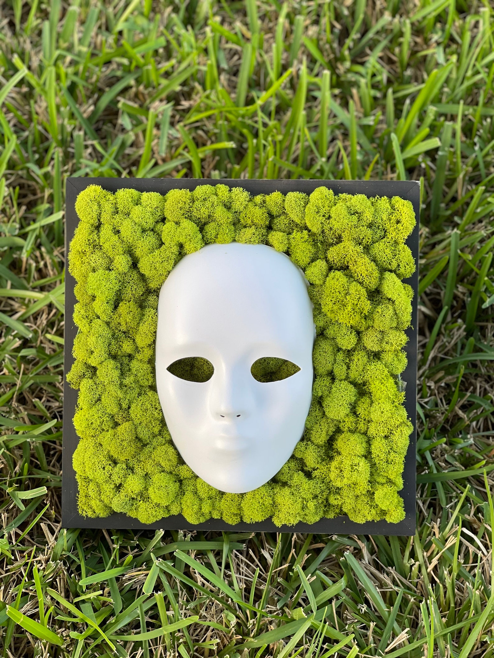 Moss Wall Green Wall Moss Wall Art Moss Art Nature Art Etsy