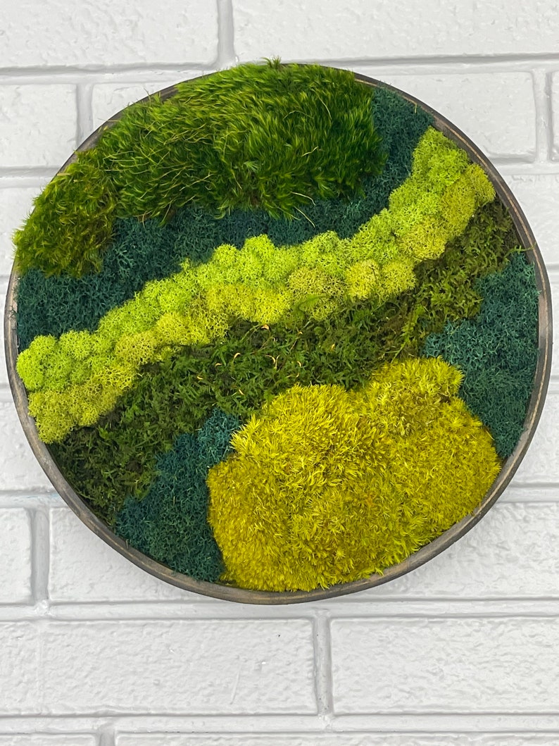 Circle Moss Art Preserved Moss Wall Decore Moss Wall Art Etsy