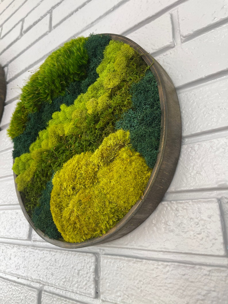 Circle Moss Art Preserved Moss Wall Decore Moss Wall Art Etsy