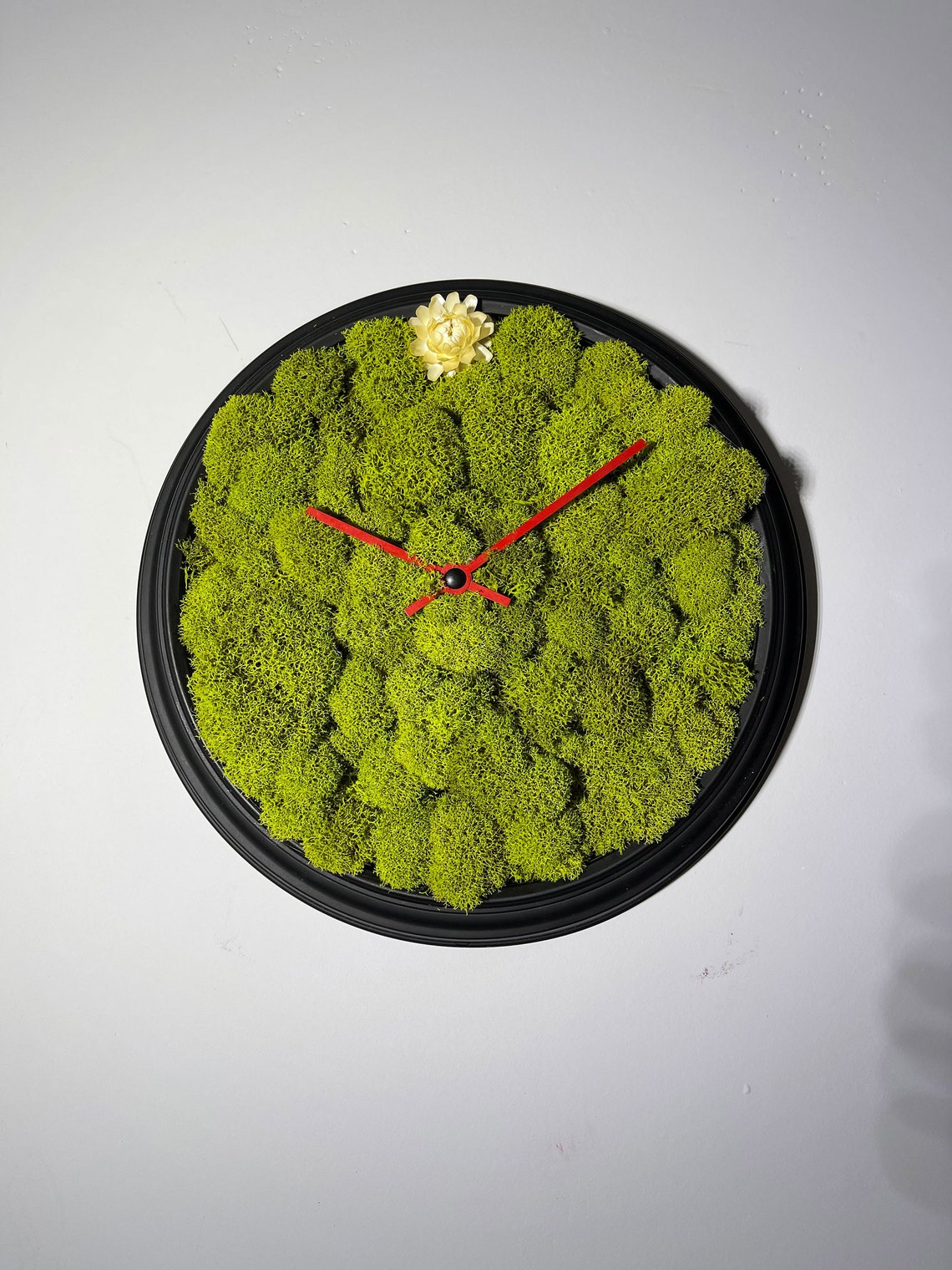 Moss Wall Clock Moss Wall Art Moss Art Moss Wall. Wall Etsy