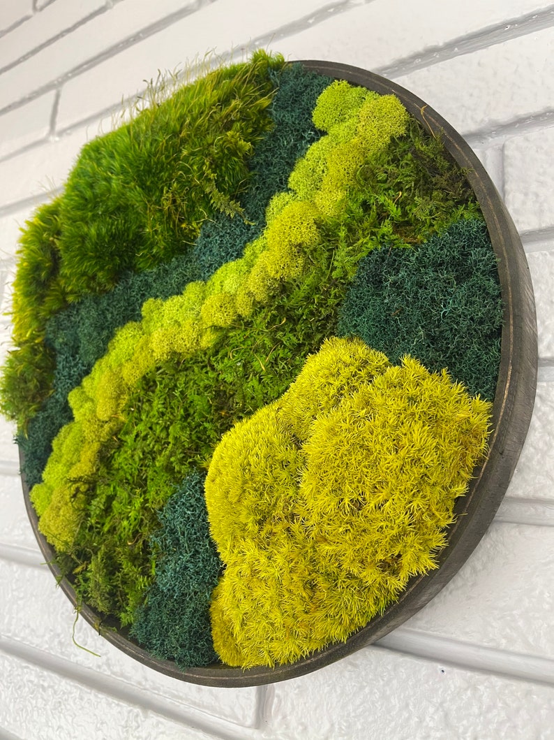 Circle Moss Art Preserved Moss Wall Decore Moss Wall Art Etsy