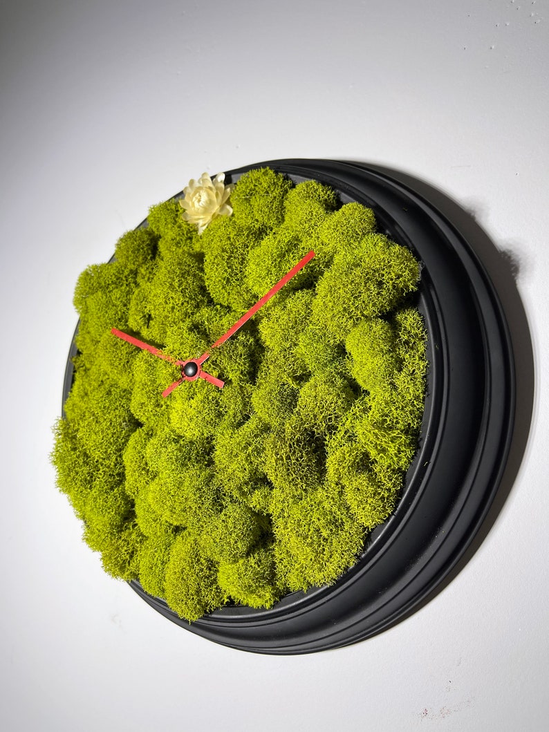 Moss Wall Clock Moss Wall Art Moss Art Moss Wall. Wall Etsy