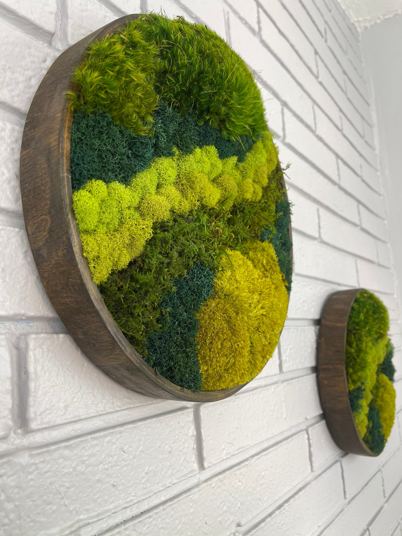Circle Moss Art Preserved Moss Wall Decore Moss Wall Art Etsy