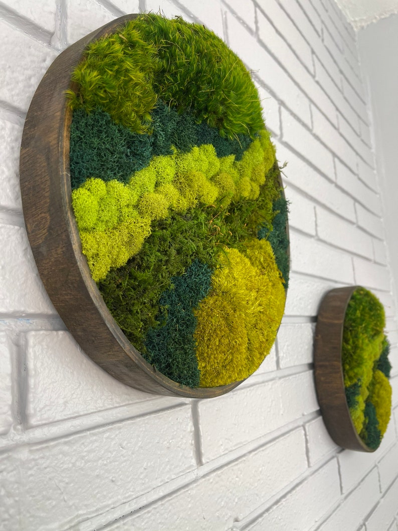 Circle Moss Art Preserved Moss Wall Decore Moss Wall Art Etsy