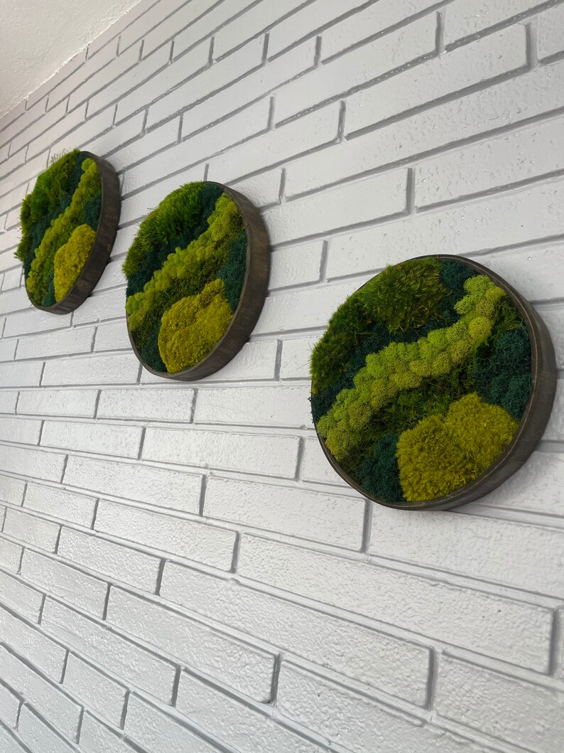 Circle Moss Art Preserved Moss Wall Decore Moss Wall Art Etsy