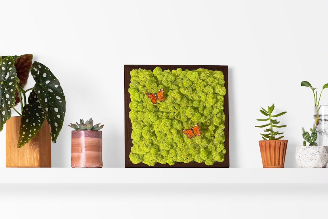 Moss Wall Art Moss Art Moss Wall Green Wall Wall Decor Etsy