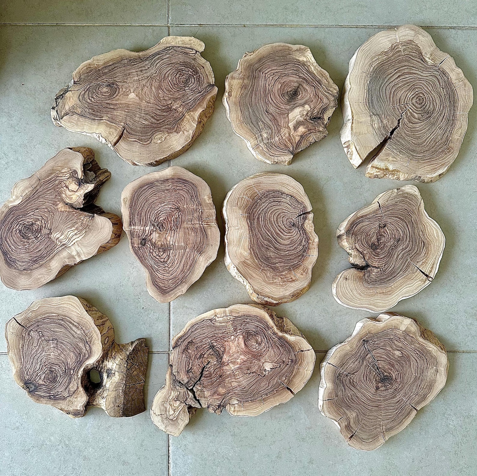 Olive Wood Slabs