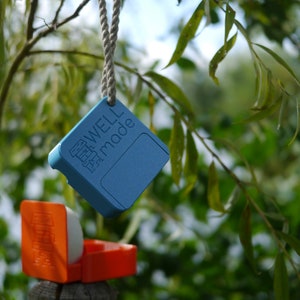 Sustainable outdoor soap box with loop