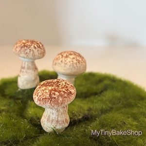 Meringue Mushroom Cookies: Woodland Cake Decorations