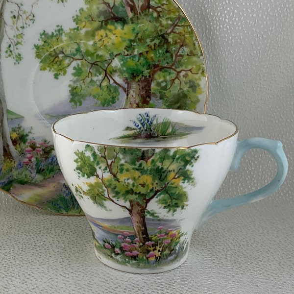 Shelley “Woodland” Teacup and Saucer Duo